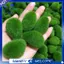 Moss Rock Trang trí 30 CÁI 3 kích cỡ Quả bóng rêu xanh nhân tạo, Sắp xếp rêu giả bằng đá