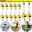 SNUGHOUSE 2 Chiếc Còi Kim Loại Chất Lượng Cao Với Dây Đen Đảng Đào Tạo Trường Còi Bằng Thép Không Gỉ