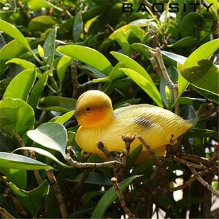 Nổi lại 5 ''