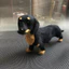< Pluscloth > Đồ chơi Dachshund sang trọng cho trẻ em – Búp bê thực tế dành cho trẻ mới biết đi Bé trai Bé gái Giáo dục Gấu trúc mềm Plushie Quà tặng sinh nhật ngày lễ hoàn hảo cho trẻ em Đông Nam Á Dachshund Sang trọng