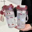 Bình Nước Anh Đào Dễ Thương 580Ml Dành Cho Học Sinh Cốc Nhựa Di Động Ống Hút Đôi Cho Ký Túc Xá Trường Học Du Lịch Dã Ngoại VN
