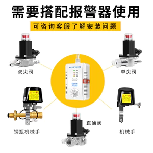 Báo động bình xăng Khách sạn Máy điều khiển ống khí tự nhiên Van điện từ an toàn tự động Đóng cắt Val26052810