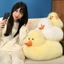 Mô Phỏng Vịt Mận Dễ Thương Chiên Vịt Vàng Ragdoll Sang Trọng Búp Bê Trẻ Em Bé Trai Bé Gái Quà Tặng