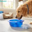 FUHUIOT Pet Ice Bowl, Làm Mát Xuống Giảm Nhiệt Cho Chó Bát Làm Mát, Uống Nước Đá Giữ Lạnh Lâu Dài Phun Nước Cho Thú Cưng Bát Uống Thời Tiết Nóng