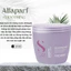 HẤP DẦU ALFAPARF SUÔN MƯỢT SDL SMOOTHING MASK 500ML [ MK ]
