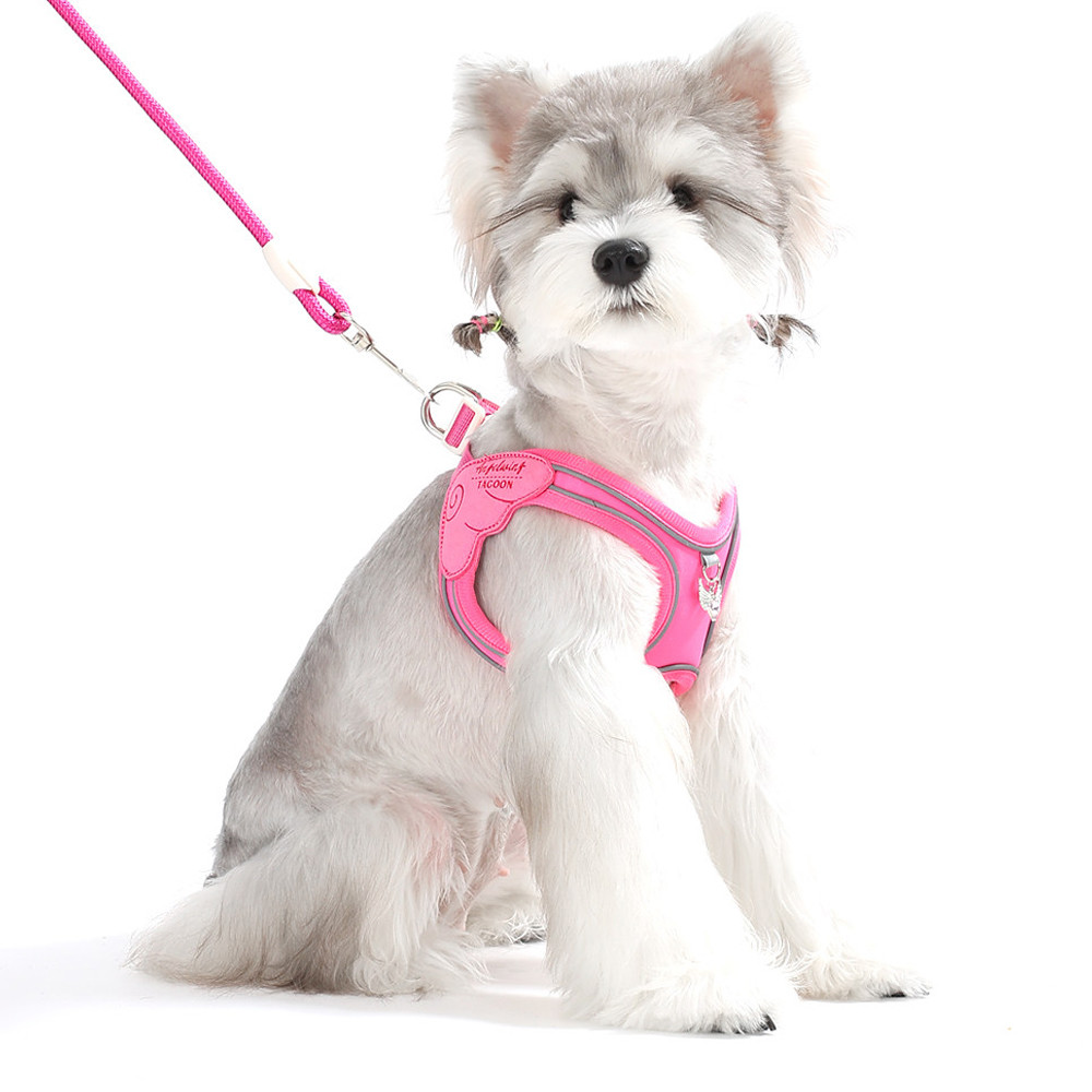 Dây Xích Chó Áo Phong Cách Dây Đeo Ngực Thoáng Khí Nhiều Màu Chó Nhỏ Mèo Dây Đeo Ngực Teddy Bichon Con Chó Con Mùa Hè Thú Cưng Dây Đeo Ngực Đi Chơi Chó Đi Bộ Dây Xích