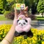 Dễ Thương Ngồi Gấu Trúc Sang Trọng Búp Bê Móc Khóa Mặt Dây Chuyền Hương Vị Hoa Mũ Búp Bê Học Túi Mặt Dây Chuyền Quà Tặng