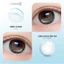 Kính áp tròng khoá ẩm 12H 1 Tháng SEED CLEAR Màu Trong Suốt, CARASE Lens cận