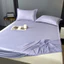 Mới Thoáng Mát Sensation Silk Bed Sheet Ice Silk Class A Nệm Vỏ Bảo Vệ Thoáng Mát Sensation Bed Sheet Dịch Vụ Chống Thấm Sống Bro