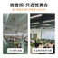 Sườn Xám Tấm Nút Giả Ngọc Hai Màu Hoa Sen Nút Handmade Trung Quốc Phong Cách Trung Quốc Đường Phù Hợp Với Hanfu Phụ Kiện Trang Trí 6.7