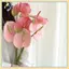 B & N Hoa Nhân Tạo Để Trang Trí Lá Giả Trang Trí 25cm Cho Sự Kiện Theo Chủ Đề Mộc Mạc Văn Phòng Để Bàn Trang Trí Phòng Khách.
