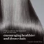 Bộ sản phẩm chăm sóc tóc Dr. Groot Scalp Revitalizing Solution Thickening Essentials Duo - Dầu gội và dầu xả Biotin