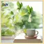 B & N 2 / 3 / 4 Chai nhân giống cây treo tường Mini Bình treo bình tròn để trang trí nhà cửa Chai gốc cây thủy canh.