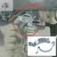 Clip Độ tin cậy cao Một phần thay thế thực tế Hiệu suất ổn định Bạc
