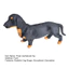 < Pluscloth > Đồ chơi Dachshund sang trọng cho trẻ em – Búp bê thực tế dành cho trẻ mới biết đi Bé trai Bé gái Giáo dục Gấu trúc mềm Plushie Quà tặng sinh nhật ngày lễ hoàn hảo cho trẻ em Đông Nam Á Dachshund Sang trọng