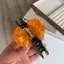 Nhíp Sáng Tạo Ngộ nghĩnh Acetate Ngôi Sao Hướng Dương Ốc Vuốt Tóc Cho Nữ Thời Trung Cổ Mặt Trời Nữ Cá Mập Kẹp Tóc Phụ Kiện Tóc Dụng Cụ VN