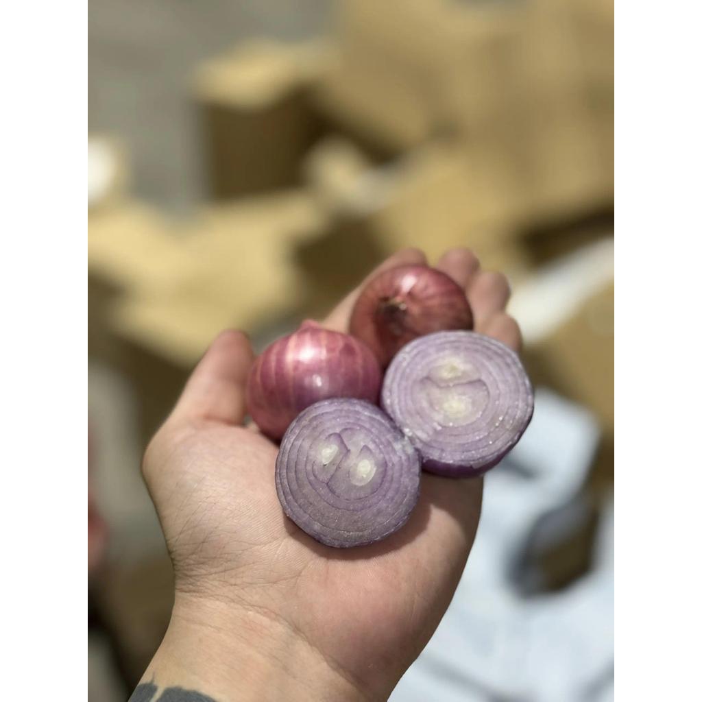 (BÁN CHẠY) TỎI CÔ ĐƠN Nhỏ KHÔ -1KG TẶNG 500G HÀNH TÍM
