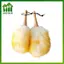 Máy hút bụi len tiện dụng SWEET có tay cầm không tĩnh điện để sử dụng tại nhà dễ dàng n