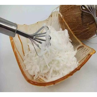 Máy bào dừa bằng thép không gỉ Máy bào dừa Máy bào hạt giống Máy bào vảy cá 2WNM