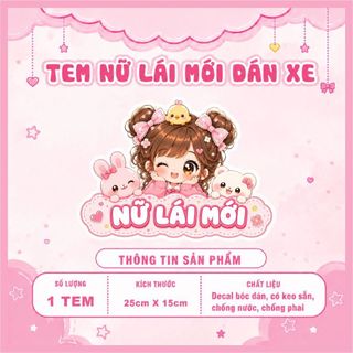 Tem nữ lái mới - tem lái mới - tem dán xe ô tô nhiều mẫu lựa chọn