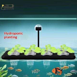 Bộ thủy canh công suất cao PlumHOUSE 10 / 30 / 50 Bộ xốp vuông để trồng cây hiệu quả VN