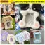 Card ảnh WOODNEST, Hộp đựng thẻ ảnh đa chức năng sang trọng, Thỏ tai lớn chất lượng cao / Thỏ Collie viền / Chó / Mèo Hình ảnh thần tượng Quà tặng