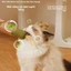Đồ chơi cho mèo Mutian Polygonum Tự làm bánh răng hàm trêu chọc Cat Stick Làm sạch răng Làm sạch đồ dùng cho thú cưng chống cắn Siêu lớn Catnip Stick