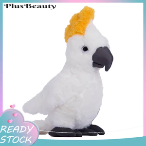 < Pluscloth > Đồ chơi sang trọng Họa tiết vẹt thoải mái PP Cotton Đồ trang trí đồ chơi sang trọng cho gia đình