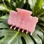 Vuốt Tóc Hoa Hawaii SMILE, Thiết Kế Thực Vật Nhiệt Đới Thông Thường Kẹp Vuốt Tóc Hoa, Phụ Kiện Tóc Mùa Hè Dễ Thương Thời Trang Bé Gái