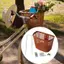 Giỏ xe đạp Jfory Lưới kim loại PP Xe đạp Giá đỡ hành lý phía trước Giỏ lưu trữ Giá đỡ lắp ráp dễ dàng Lắp đặt xe đạp gấp Thích hợp cho cưỡi ngựa ngoài trời
