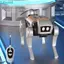 Chó Cơ Điện FUHUIOT, Đồ Chơi Robot RC Chạy Bionic, Giảng Dạy Khoa Học Bốn Chân Hệ Thống Năng Lượng Mặt Trời Điều Khiển Từ Xa Robot Điện Chó Đồ Chơi Trẻ Em