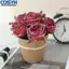 <cosyh>Realistic Artificial Roses Potted Plants Silk Cloth Flowers for Home Decor