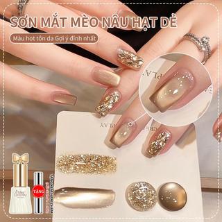 Bộ Gel Làm Móng Màu Nâu Ấm Chuyên Nghiệp Bộ Sơn Gel Mắt Mèo Và Lấp Lánh Bộ Sưu Tập Từ Tính Crôm Mới 2025 Đồ Dùng Salon Để Hiệu Ứng Làm Trắng Làm Móng Thanh Lịch