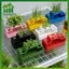 SWEET Green Onion Planter Hydroponic Growing Kitpact Hệ thống làm vườn tại nhà cho ban công nhà bếp Dễ dàng trồng rau n