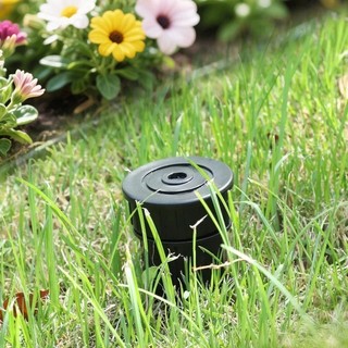 Vườn Mới Xanh Phong Cách Cỏ Rắc Đầu Chìa Khóa Hộp Bảo Quản Chìa Khóa Ẩn Hộp Đựng Trang Trí Ngoài Trời