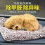 Đồ trang trí ô tô Than hoạt tính Mô phỏng chó Xe hơi Loại bỏ Formaldehyde Búp bê thú cưng Túi than tre Xe mới Phải có Đồ dùng ô tô