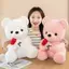 SRVN 25cm Quà tặng đám cưới Ngày lễ tình nhân Gấu hồng sang trọng Đồ chơi nhồi bông mềm mại đáng yêu.
