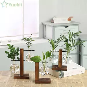 Bình hoa thủy canh YUUKII Trang trí nội thất Terrarium Để bàn Chậu hoa