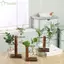 Bình hoa thủy canh YUUKII Trang trí nội thất Terrarium Để bàn Chậu hoa