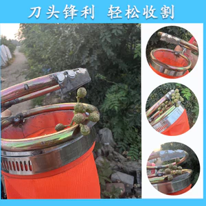 2023 Tứ Xuyên Tiêu Kéo Máy Chọn Wolfberry Dụng Cụ Phát Minh Mới Dụng Cụ Nông Nghiệp Chọn Dụng Cụ Tiện Dụng Kéo