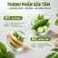 Combo Sữa Tắm YOMANI 1600ml Khổ Qua Nhân Sâm & Than Hoạt Tính Cám Gạo, giảm mụn, làm sạch sâu
