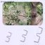 {AKIN} Giá đỡ hỗ trợ cây nho hình cho cây ăn quả cố định cây cố định có thể điều chỉnh cho sân vườn ngoài trời {a}