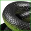Prank Snake Đồ chơi đùa thực tế Thiết bị sợ chim cho sân ngoài Sân sau Bãi cỏ hiên nhà Công viên trang trại Sân saixit2vn