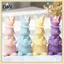 B & N 3D N Thắt N Thỏ Nến Phục Sinh Khuôn Silicon Handmade Hương Thơm Thạch Cao Khuôn Nhựa Hoạt Hình Hình Thỏ Làm Nến Đồ Dùng.