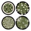 Retro Fresh Green Coaster Placemat Chống trượt Chống mài mòn Chịu nhiệt độ cao
