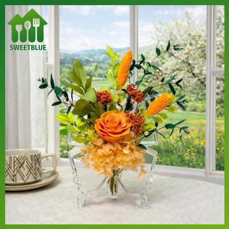 Bình hoa Acrylic ngọt ngào với thiết kế hình con bướm Phong cách nghệ thuật hiện đại rõ ràng cho nhà thanh lịch Nhà bếp sắp xếp phòng ngủ n