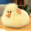 Mô Phỏng Vịt Mận Dễ Thương Chiên Vịt Vàng Ragdoll Sang Trọng Búp Bê Trẻ Em Bé Trai Bé Gái Quà Tặng