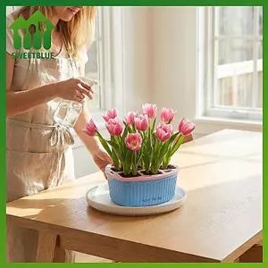 SWEET Acrylic Tulip Grow Kit Có Giỏ Gốc Che 4 5 Lỗ Ổn Định Lưu Vực Cho Gia Đình Phòng Khách Sân Vườn Trong Nhà n