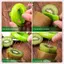 JRP Kiwi Cutter Peeler Slicer Nhà bếp có thể tháo rời Tiện ích sáng tạo Thép không gỉ Lemon Peeling Tools Fruits Salad Maker Phụ kiện JRP