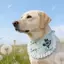 2026 Phong Cách Mới Xuân Hè Nước Bọt Khăn Khăn Yếm Nhỏ Vừa Chó Lớn Husky Samo Golden Retriever Yếm Dễ Thương
